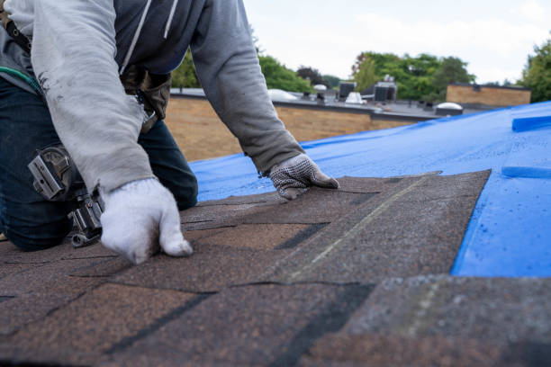 Best Roof Gutter Cleaning  in Kernersville, NC